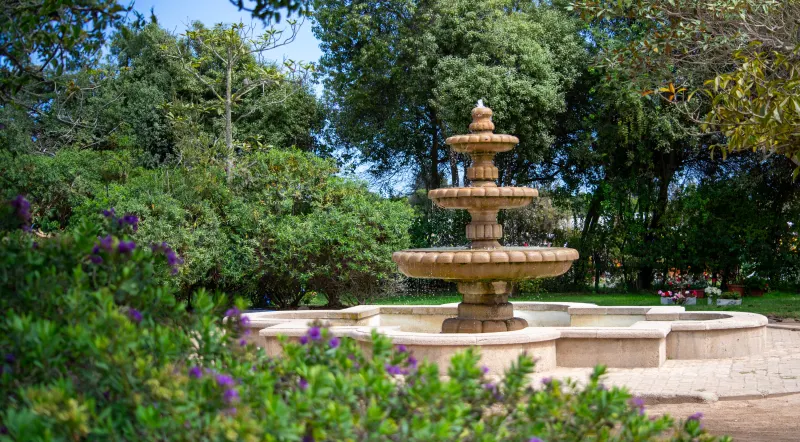 Parque La Foresta
