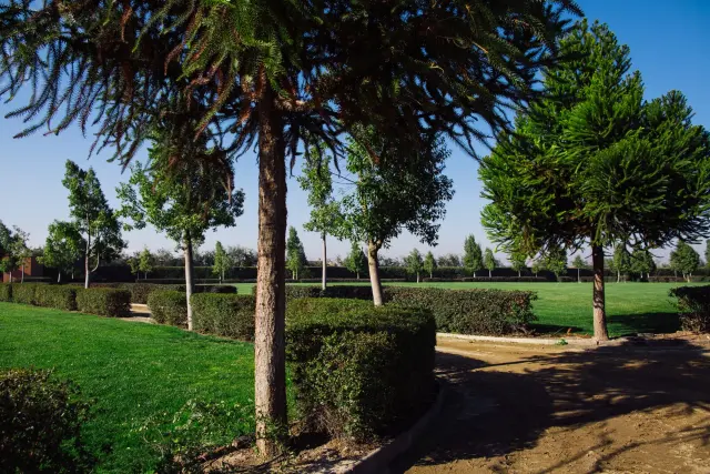 Taller de duelo: acompañamiento en tu parque