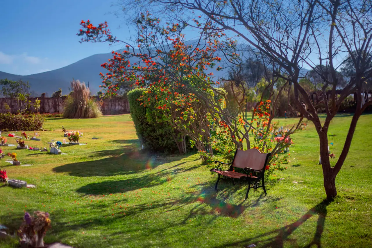 Parque La Foresta — vista 1